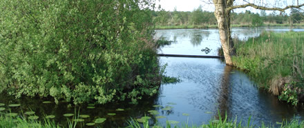 natuur