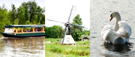 biogroen